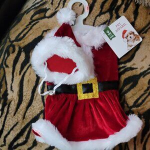 Pet Dress Dog or Cat Christmas Santa w Hat Plush sm ea. New!